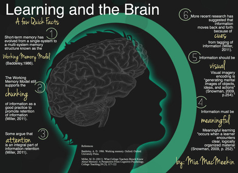 A Nice Graphic on The Relationship between Learning and The Brain | Educational Technology and Mobile Learning | Information and digital literacy in education via the digital path | Scoop.it
