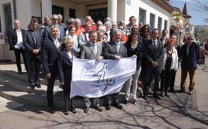 Une charte pour protéger les mammifères marins à Cagnes-sur-mer | Biodiversité | Scoop.it