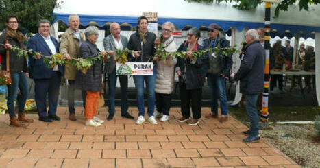 Pour son 20ème anniversaire, la Fête de l'Arbre toujours très attractive malgré une météo des plus aléatoire | Professionnels du tourisme du Grand Auch Cœur de Gascogne | Scoop.it