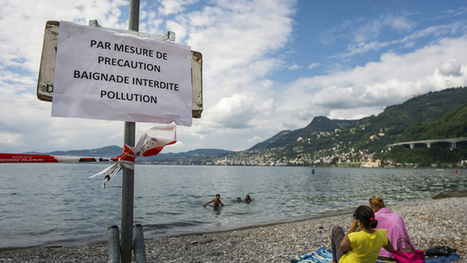 A cause d'une pollution, la baignade est interdite à Villeneuve / Tribune de Genève le 07.08.2014 | Pollution accidentelle des eaux par produits chimiques | Scoop.it