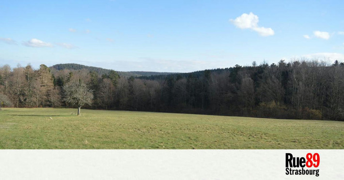 L'obscur financement public du Trail center de Wangenbourg | Nouveaut&eacute;s - Offre touristique Alsace | Scoop.it