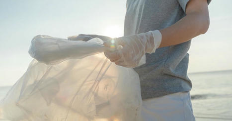 M&eacute;tiers verts : les termes fran&ccedil;ais &agrave; utiliser en lieu et place des termes anglais | L'Officiel des m&eacute;tiers | Scoop.it