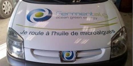 Demain, les voitures rouleront-elles à l'algodiesel ? | ITERG - Veille sectorielle | Scoop.it