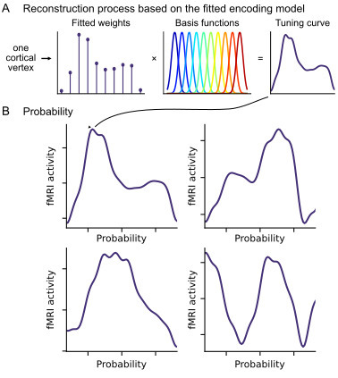 Un nouveau code neuronal pour la probabilit&eacute; des &eacute;v&eacute;nements | Life Sciences Universit&eacute; Paris-Saclay | Scoop.it