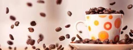 Th&eacute; ou caf&eacute; ? Les bienfaits de votre boisson pr&eacute;f&eacute;r&eacute;e - meltyFood | Chicor&eacute;e | Scoop.it