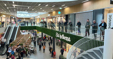 BoF: Finnish economy will gradually recover | Yle News | Yle | 1Uutiset - Lukemisen tähden | Scoop.it