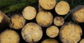 La biomasse sur le fil, en plein d&eacute;bat europ&eacute;en | Transition &eacute;nerg&eacute;tique territoriale | Scoop.it