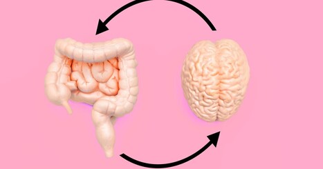 Study links poor diet to anxiety and cognitive decline | Thinking Clearly and Analytically | Scoop.it