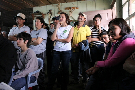 Commoners in Transition: Janice Figueiredo | Peer2Politics | Scoop.it