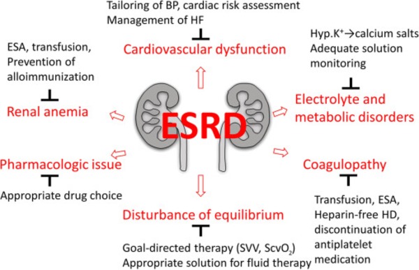 End Stage Renal Disease Market Detailed Analysis and Forecast by 2030 | Peritoneal dialysis | Scoop.it