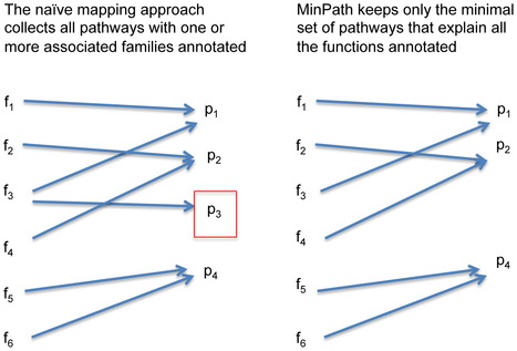 A Parsimony Approach to Biological Pathway Reco...
