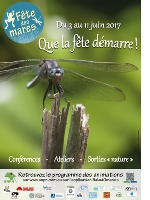 Fête des mares : Du 3 au 11 juin 2017, partout en France | Variétés entomologiques | Scoop.it