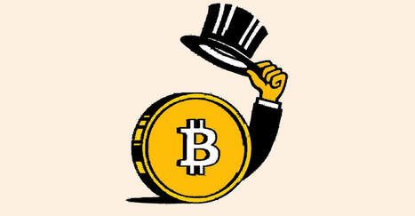The Hysterical Crypto Bubble Somehow Became Respectable | Avoid Internet Scams and ripoffs | Scoop.it