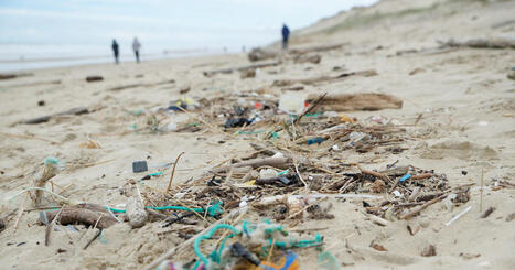 Plan d'actions &laquo;&nbsp;Z&eacute;ro pollution&nbsp;&raquo;&nbsp;: des progr&egrave;s restent &agrave; faire | Transition &eacute;nerg&eacute;tique et &eacute;cologique. Mobilit&eacute; et transports | Scoop.it