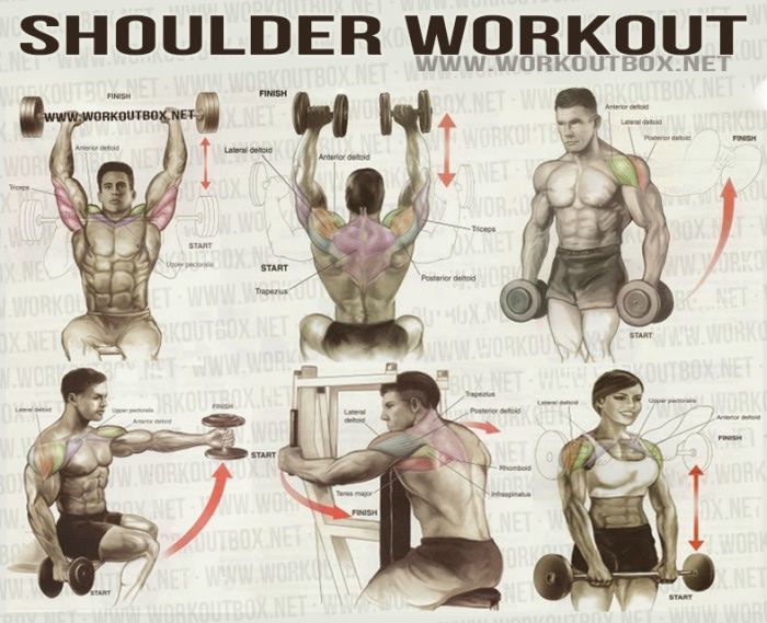 Use This Workout To Sculpt Aesthetic Shoulders