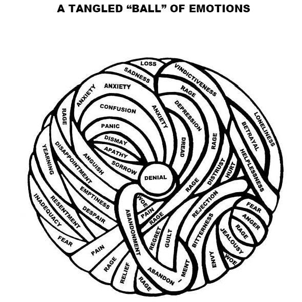 online pathophysiology evaluation and