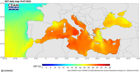 Mediterranean Sea Surface Temperature - CEAMed | Biodiversité | Scoop.it