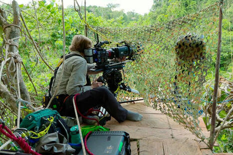 The Americas Was the First Crew to Ever Film These Animal Behaviors | RAINFOREST EXPLORER | Scoop.it