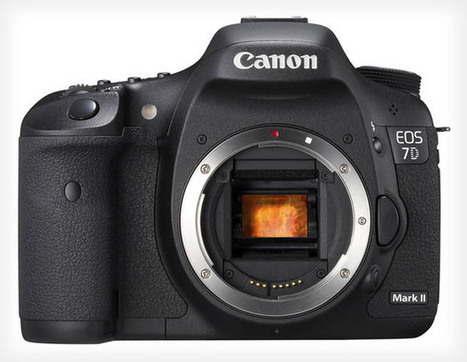 Rumor: Canon 7D Mark II Geared Toward Nature and Sports Photographers | pixels and pictures | Scoop.it