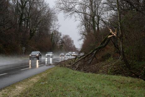 Landes&nbsp;: M&eacute;t&eacute;o France place le d&eacute;partement en vigilance orange &laquo;&nbsp;vent violent&nbsp;&raquo; &agrave; partir de 22 heures | Landes - Conseils municipaux & communautaires | Scoop.it