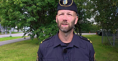 Polisens r&aring;d efter bj&ouml;rnattacken i Lycksele: &rdquo;B&auml;rplockare ska inte vara oroliga&rdquo; | A1Uutiset | Scoop.it