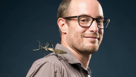 &laquo; Aujourd&rsquo;hui, la nature n&rsquo;est plus en mesure de jouer son r&ocirc;le &raquo; - Entretien avec Alexandre Aebi | EntomoScience | Scoop.it