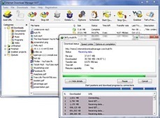 Manual Internet Download Manager: cómo descargar archivos de Internet con IDM | Educación, TIC y ecología | Scoop.it