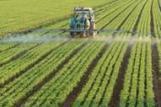 La loi d'avenir sur l'agriculture ne réduira pas les pesticides | Questions de développement ... | Scoop.it
