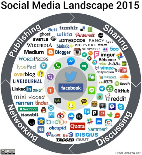 Le panorama des médias sociaux 2015 | Les réseaux sociaux  (Facebook, Twitter...) apprendre à mieux les connaître et à mieux les utiliser | Scoop.it
