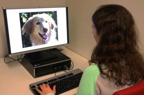 Study: Human empathy extends to dogs and their facial expressions | Empathy and Animals | Scoop.it