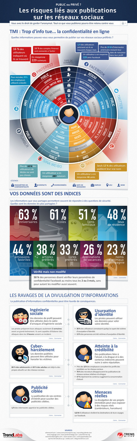 INFOGRAPHIE: Les risques li&eacute;s aux publications sur les r&eacute;seaux sociaux | Education & Technology | Scoop.it