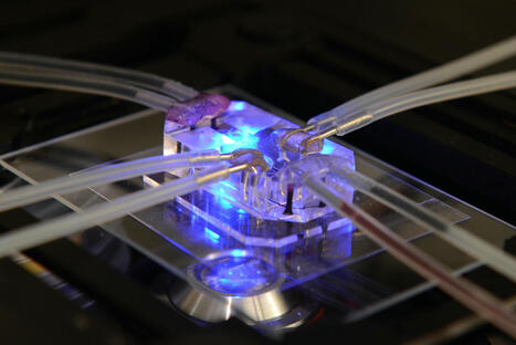 NIH to Prioritize Human-Based Research Technologies | Virus World | Scoop.it