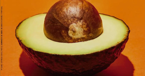 AGRICULTURE: L’avocat, thermomètre de l’état du monde | CIHEAM Press Review | Scoop.it