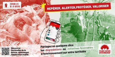 🔴&nbsp;Rep&eacute;rer, alerter, prot&eacute;ger, valoriser | Les Colocs du jardin | Scoop.it