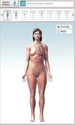 L'anatomie du corps humain en 3 dimensions mis en ligne sur Healthline | Time to Learn | Scoop.it