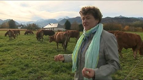 Pyrénées : une coopération transfrontalière se met en place pour la vente des produits de terroir en circuit court | Vallées d'Aure & Louron - Pyrénées | Scoop.it