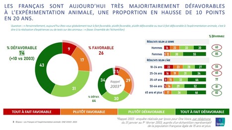 Des dizaines de milliers d’animaux encore utilisés pour former étudiants et professionnels | EntomoScience | Scoop.it