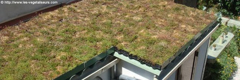 La toiture végétalisée, installation dans l’air du temps | Build Green, pour un habitat écologique | Scoop.it