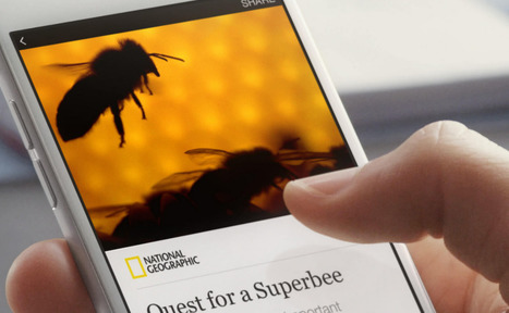Instant Articles and the future of RSS | François MAGNAN  Formateur Consultant | Scoop.it