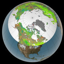 Tundra Takeover - Global Warming Pushing Trees North | CLIMATE CHANGE WILL IMPACT US ALL | Scoop.it