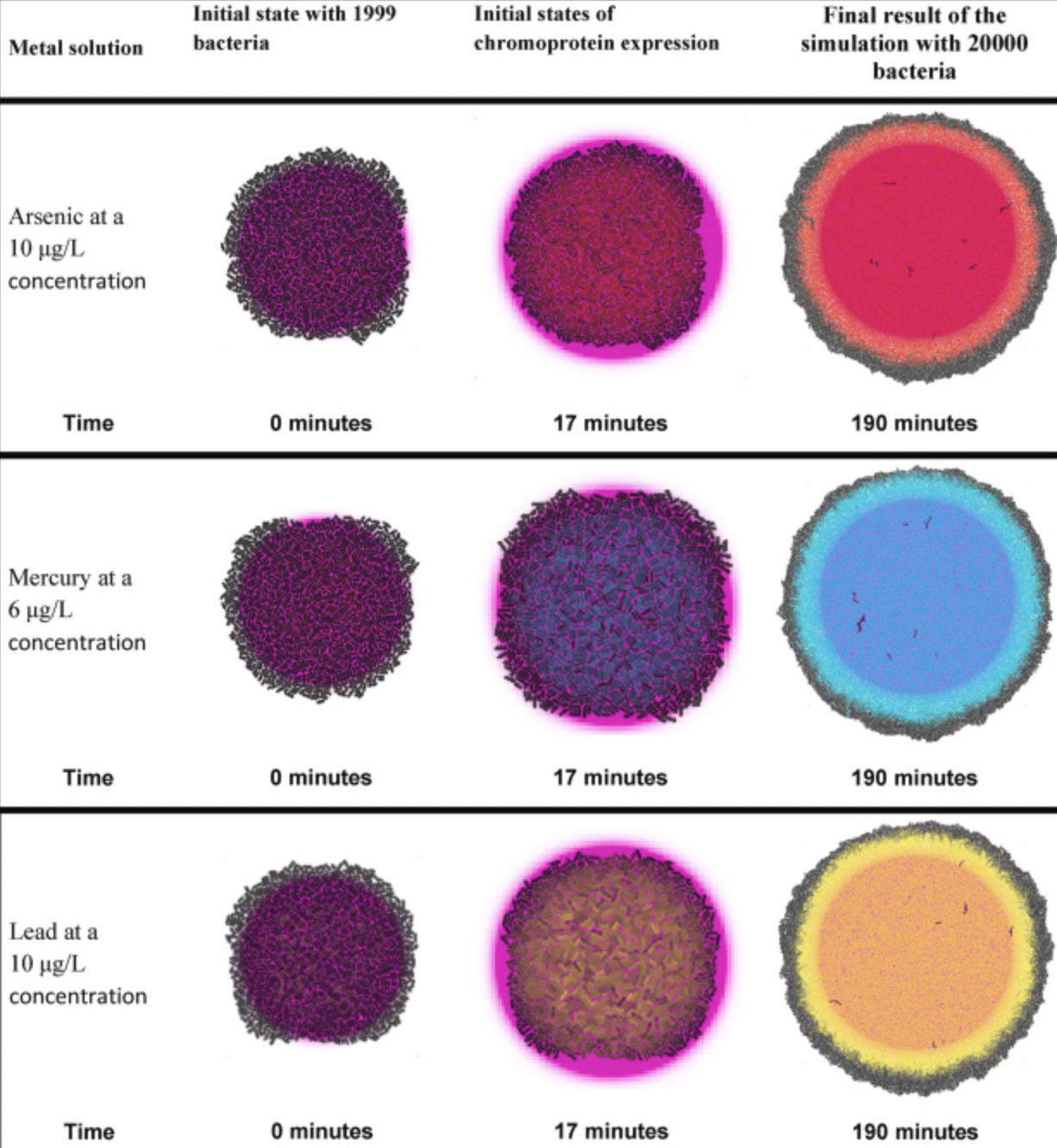 Design, modeling and in silico simulation of ba...