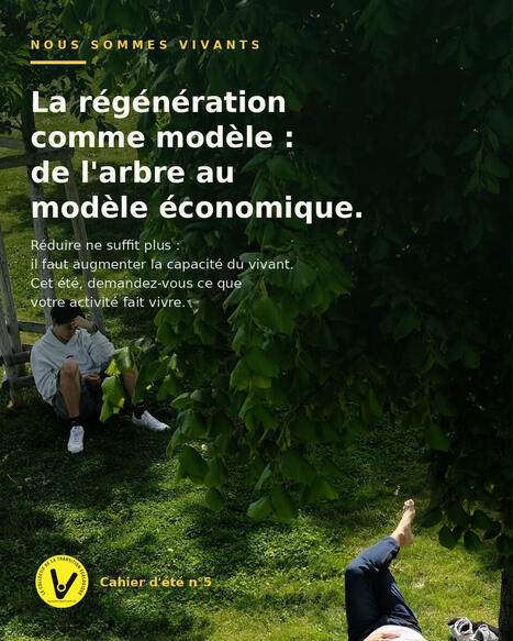 S&rsquo;inspirer de l&rsquo;arbre pour un mod&egrave;le &eacute;conomique r&eacute;g&eacute;n&eacute;ratif du vivant &hellip; Cdurable.info | Biodiversit&eacute; | Scoop.it