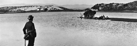 The Lost Wetlands of Los Angeles | Sandy Beach Ecology & Management | Scoop.it