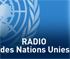 Transition vers l'&eacute;conomie verte : l'ONU souligne la valeur des indicateurs | Radio des Nations Unies | M&eacute;tiers et emploi de l'&eacute;conomie verte | Scoop.it