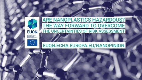 Les nanoplastiques sont-ils dangereux ? Comment réduire les incertitudes de l’évaluation des risques | EUON | Prévention du risque chimique | Scoop.it