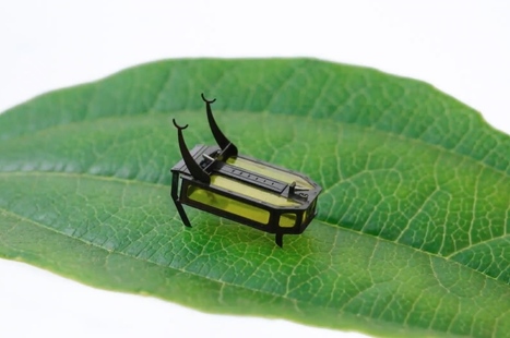 RoBeetle : A Micro Robot Powered by Liquid Fuel | Technology in Business Today | Scoop.it