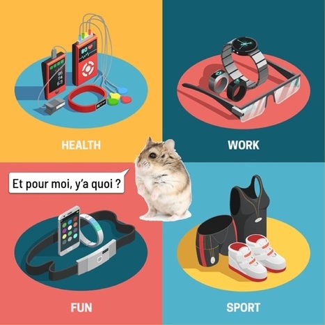 Panorama des terminaux alternatifs 2020 &ndash; | Innovation - Prospective | Scoop.it