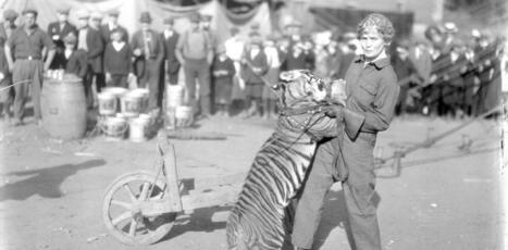 L&rsquo;histoire hors norme de Mabel Stark, la plus c&eacute;l&egrave;bre dresseuse de tigres des &Eacute;tats-Unis | Politiques d'&eacute;galit&eacute; et non discrimination | Scoop.it