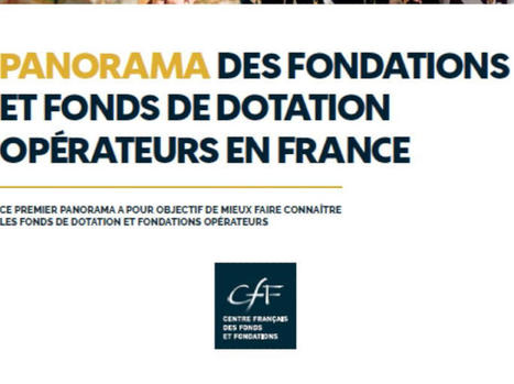 Mieux connaître l’action des Fonds de dotation et Fondations | Co-construction, mécénat et philanthropie | Scoop.it