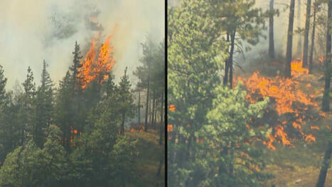 Out-of-control wildfire near Harrison Lake now 70 hectares in size - BC | Globalnews.ca | Operation Deimos | Scoop.it